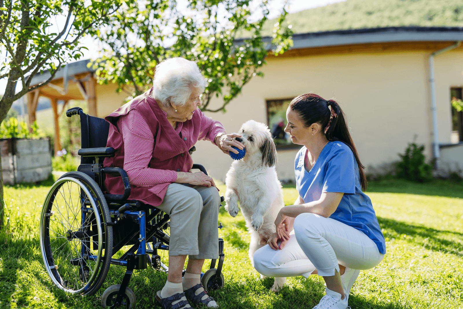 companion care Illinois seniors