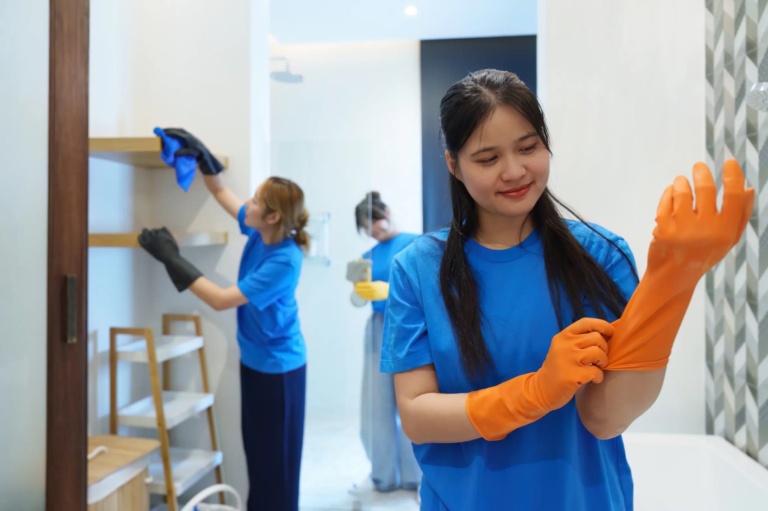 concierge home services Illinois private pay